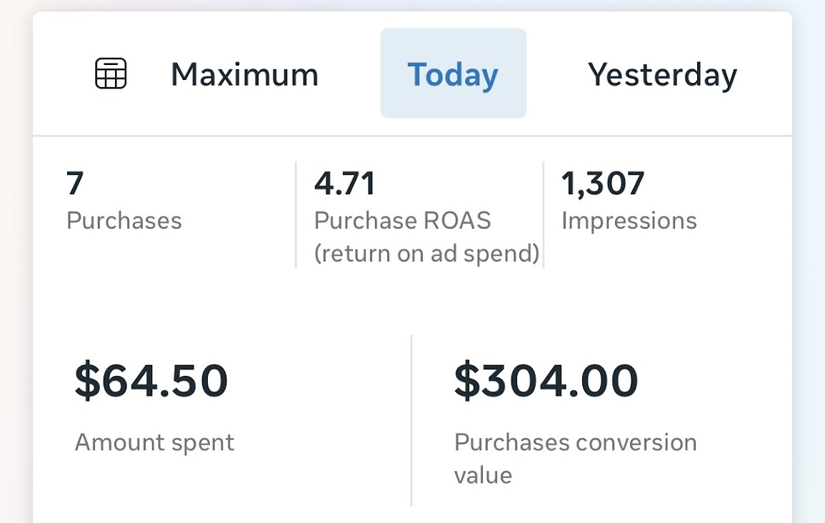 Meta Ads results: $64.50 spent, $304 made